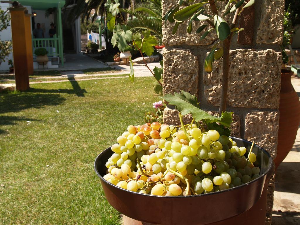 Pegasus Studios & Apartments Skyros Exterior foto